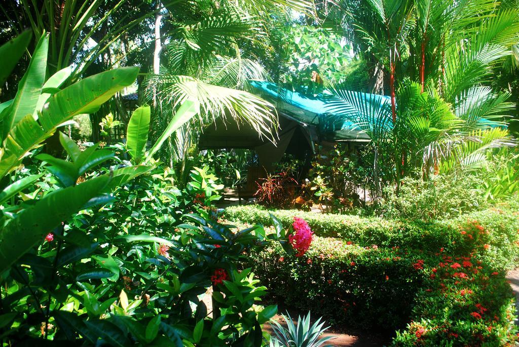 Rafiki Beach Camp Matapalo  Номер фото